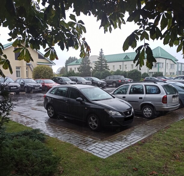 SEAT Ibiza IV, 2011 г.