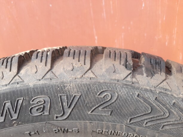 Легковые шины Tunga 205/55 R16 4 шт.