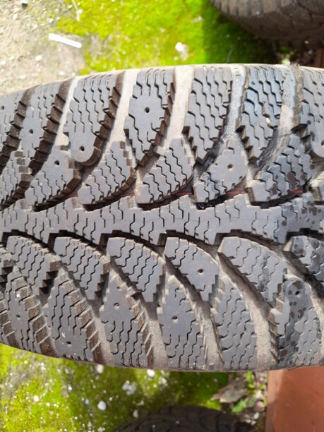 Легковые шины Tunga 205/55 R16 4 шт.