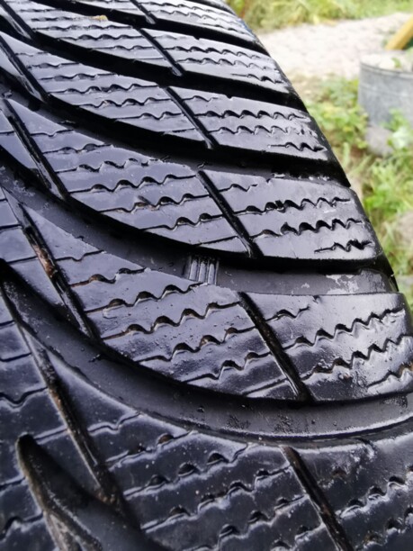 Легковые шины Sava 205/55 R16 2 шт.