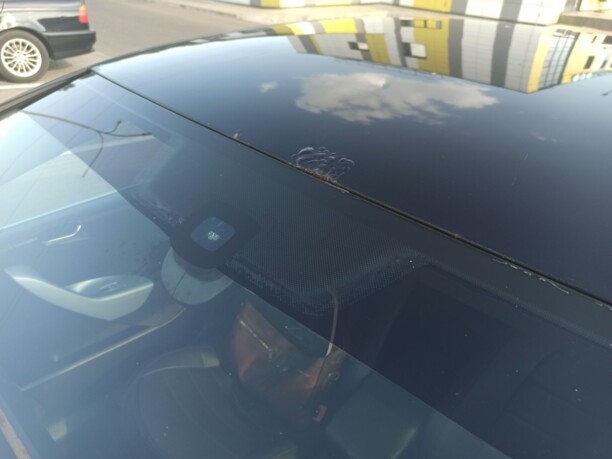 Volkswagen Passat B6, 2005 г.
