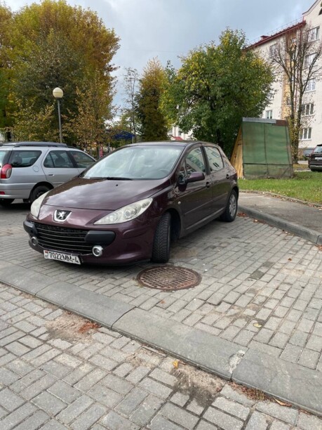 Peugeot 307 I · Рестайлинг, 2007 г.