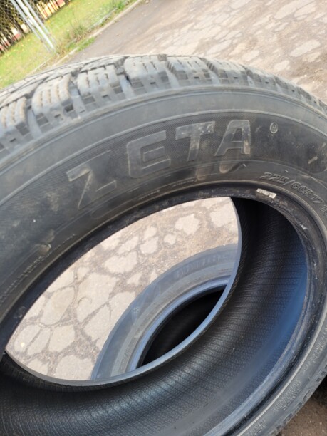 Легковые шины Zeta Antarctica Sport 225/60 R17 4 шт.