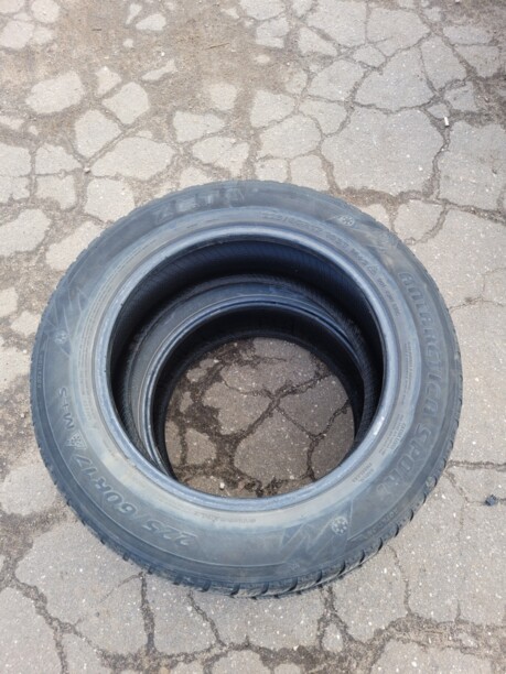 Легковые шины Zeta Antarctica Sport 225/60 R17 4 шт.