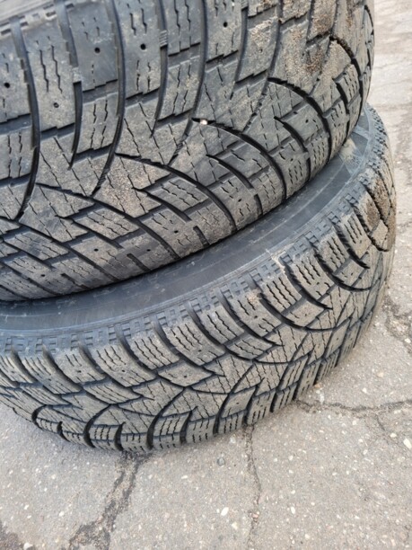 Легковые шины Zeta Antarctica Sport 225/60 R17 4 шт.