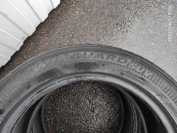 Легковые шины Nexen Winguard SUV 255/50 R19 4 шт.