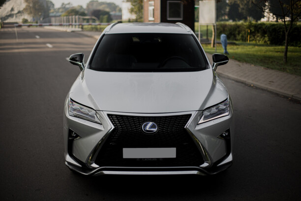 Lexus RX IV, 2019 г.