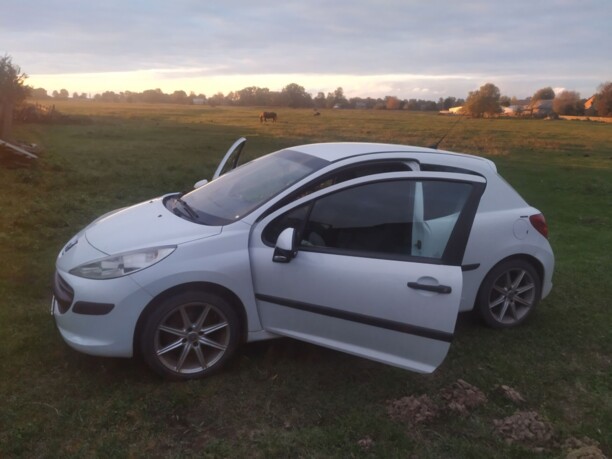 Peugeot 207 I, 2008 г.