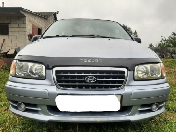Hyundai Trajet I, 7 мест, 2001 г.