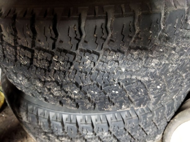 Легковые шины Белшина 195/65 R15 2 шт.