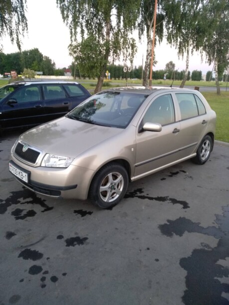 Skoda Fabia 6Y, 2004 г.