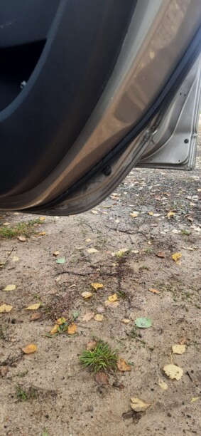 Renault Scenic III, 2009 г.