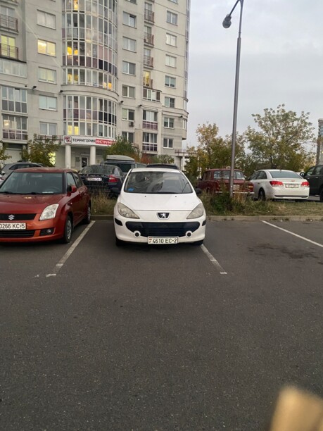 Peugeot 307 I · Рестайлинг, 2006 г.