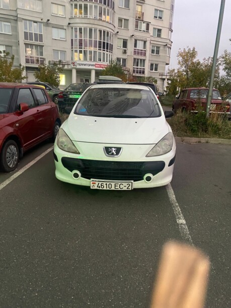 Peugeot 307 I · Рестайлинг, 2006 г.