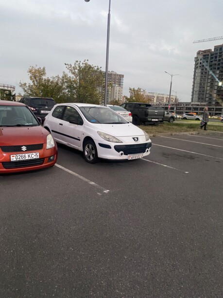 Peugeot 307 I · Рестайлинг, 2006 г.