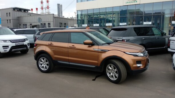 Land Rover Range Rover Evoque I, 2014 г.