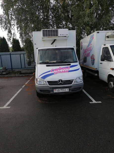 Mercedes-Benz Sprinter 316, 2005 г.