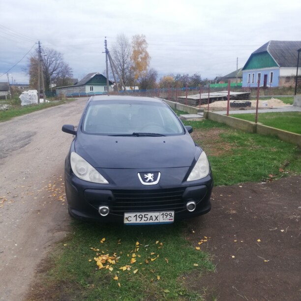 Peugeot 307 I · Рестайлинг, 2007 г.