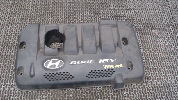 Декоративная накладка для Hyundai Elantra XD2 2003-2010