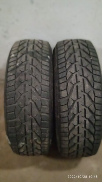 Легковые шины Tigar 205/60 R16 4 шт.