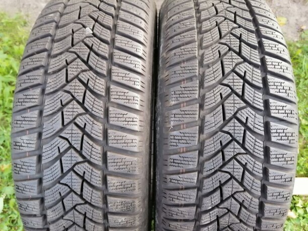 Легковые шины Dunlop Winter Sport 5 205/60 R16 2 шт.