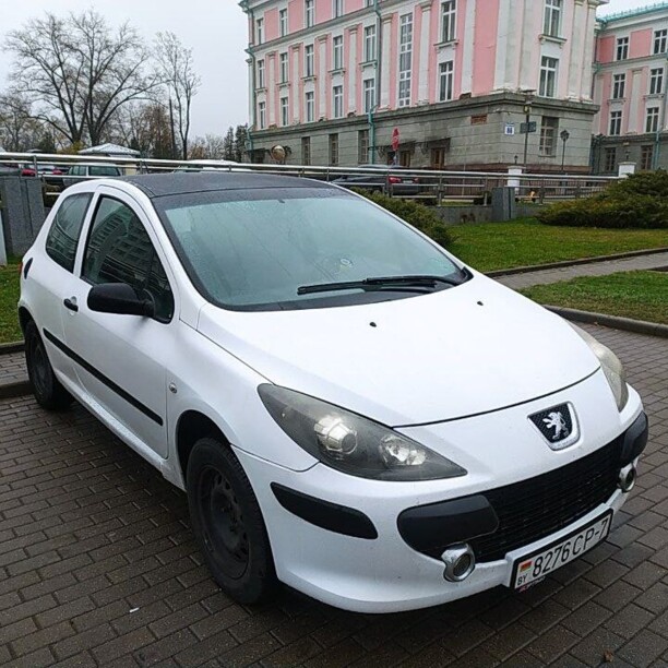 Peugeot 307 I · Рестайлинг, 2006 г.