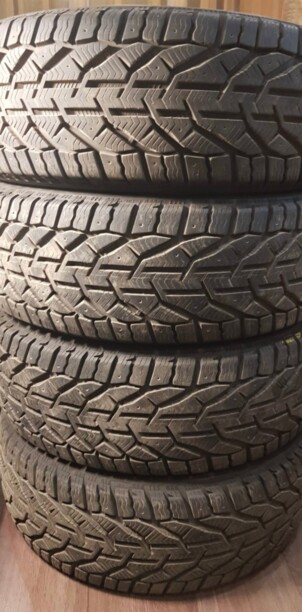 Легковые шины Taurus Ice 195/55 R15 4 шт.
