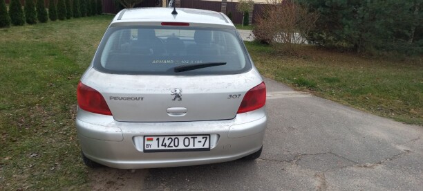 Peugeot 307 I, 2004 г.