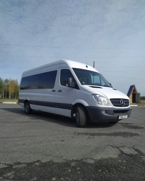 Mercedes-Benz Sprinter, 2009 г.