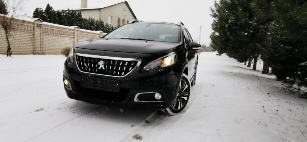 Peugeot 2008 I · Рестайлинг, 2019 г.
