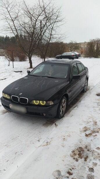 BMW 5 серия E39, 2003 г.