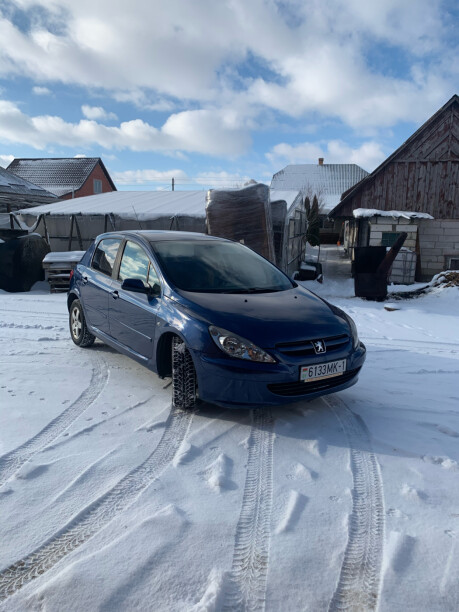 Peugeot 307 I, 2004 г.