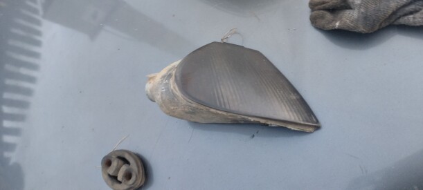 Передний поворотник в сборе для Renault Laguna I 1993 - 1998