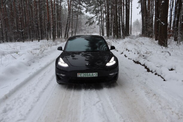 Tesla Model 3, 2021 г.