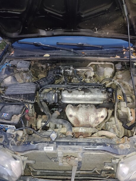 Honda Accord V · Рестайлинг, 1996 г.