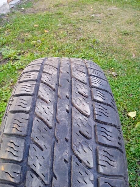 Легковые шины Белшина 195/65 R15 1 шт.