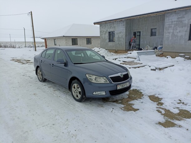 Skoda Octavia II · Рестайлинг, 2010 г.