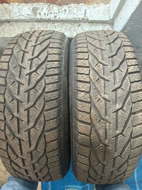 Легковые шины Tigar winter 205/55 R16 2 шт.