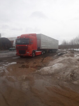 DAF XF 95 480, 2003 г.
