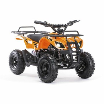 Motax ATV Мини-Гризлик X-16 800W, 2021 г.