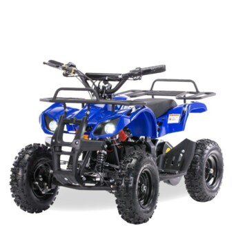 Motax ATV Мини-Гризлик X-16 1000W, 2021 г.