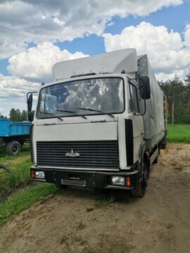 МАЗ 4370, 2007 г.