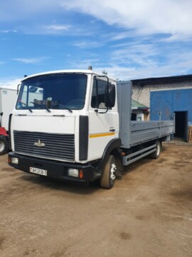 МАЗ 4370 Маз 4370, 2008 г.
