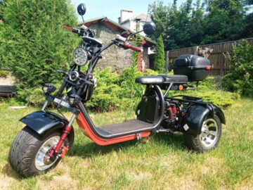 Citycoco Wild Wheel 3000w WS-PRO TRIKE+, 2021 г.
