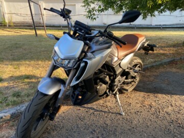 Regulmoto Alien Monster 300, 2020 г.