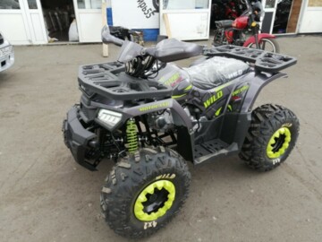 Motoland Wild 125, 2022 г.