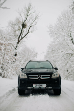 Mercedes-Benz GL-Класс X164, 7 мест, 2006 г.