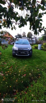 Ford EcoSport, 2017 г.