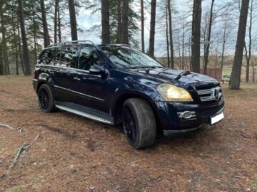 Mercedes-Benz GL-Класс X164, 7 мест, 2008 г.