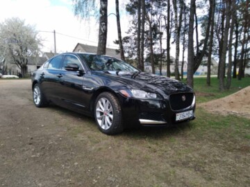 Jaguar XF X260, 2019 г.